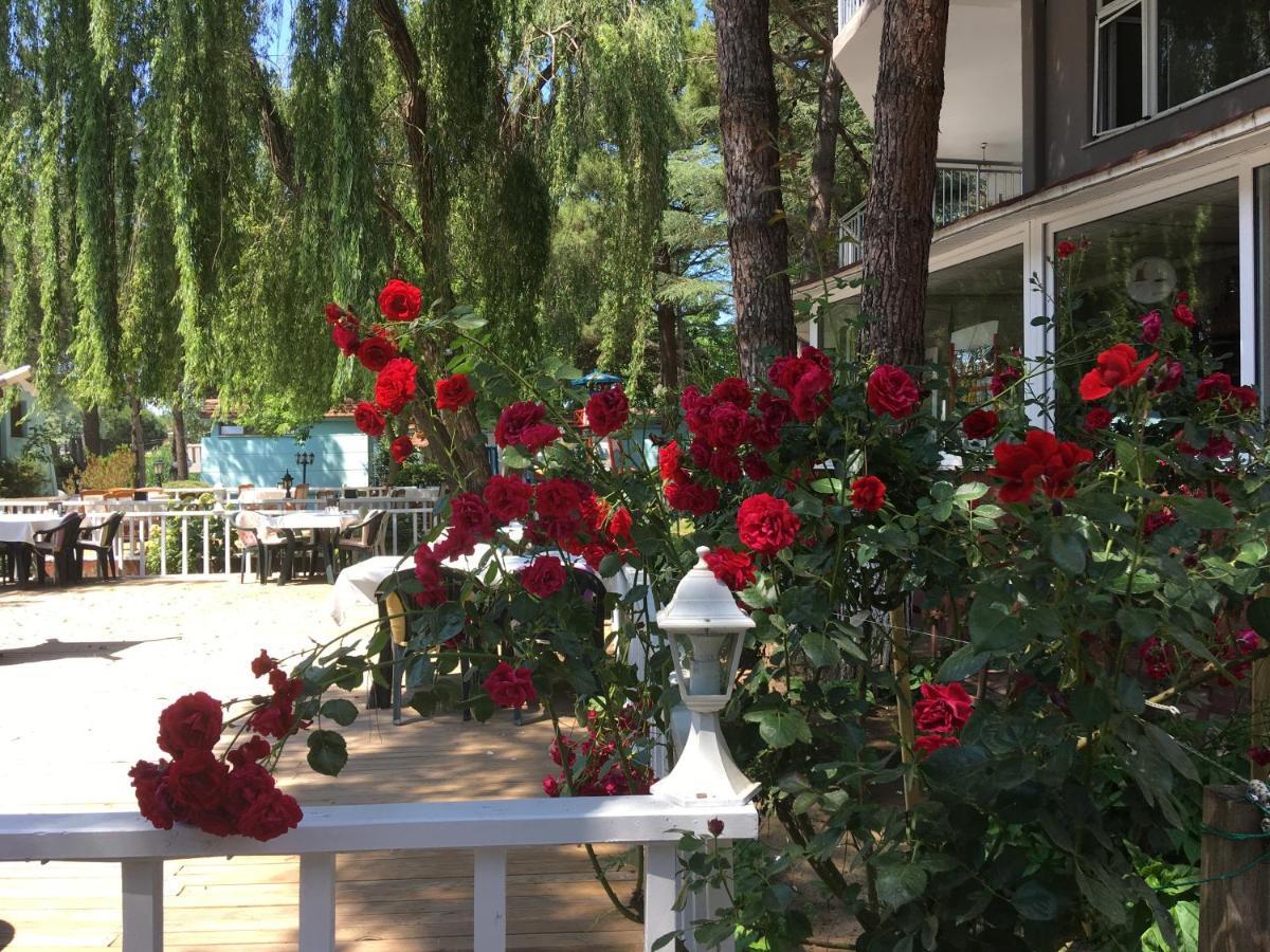 Shila Doert Mevsim Tatil Koyu Hotel Şile Ngoại thất bức ảnh
