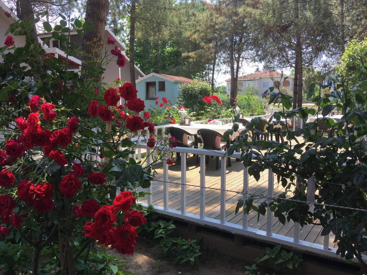 Shila Doert Mevsim Tatil Koyu Hotel Şile Ngoại thất bức ảnh