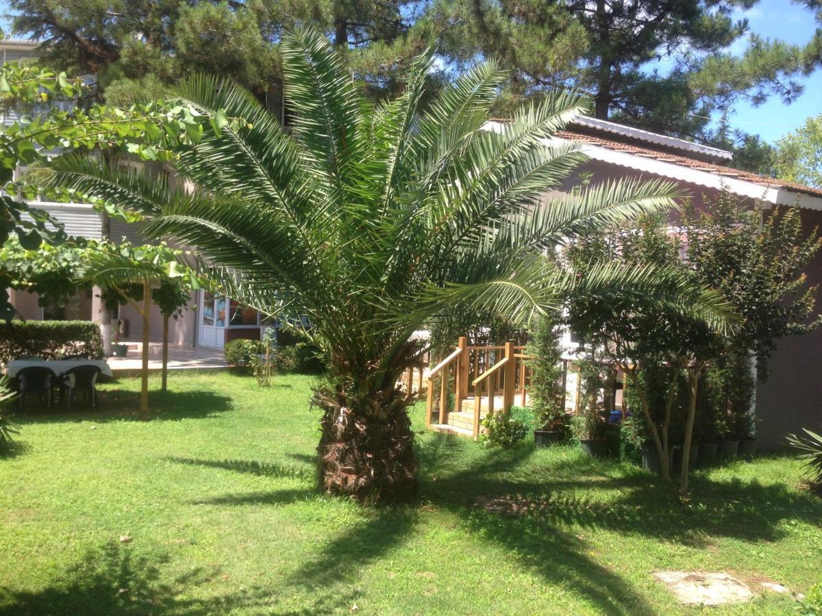 Shila Doert Mevsim Tatil Koyu Hotel Şile Ngoại thất bức ảnh